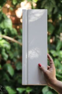 قرنیز سفید سالی