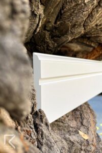 قرنیز سفید برمودا