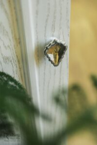 cupboard-victoria-03