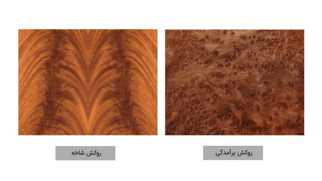 روکش گیری درخت